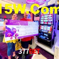 Crash Games Strategies 377Bet